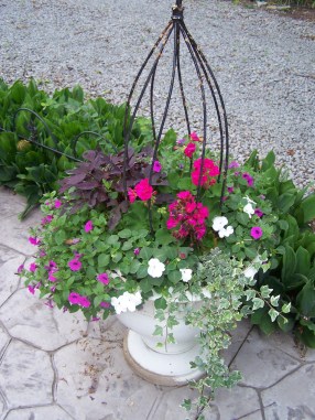 Container gardening